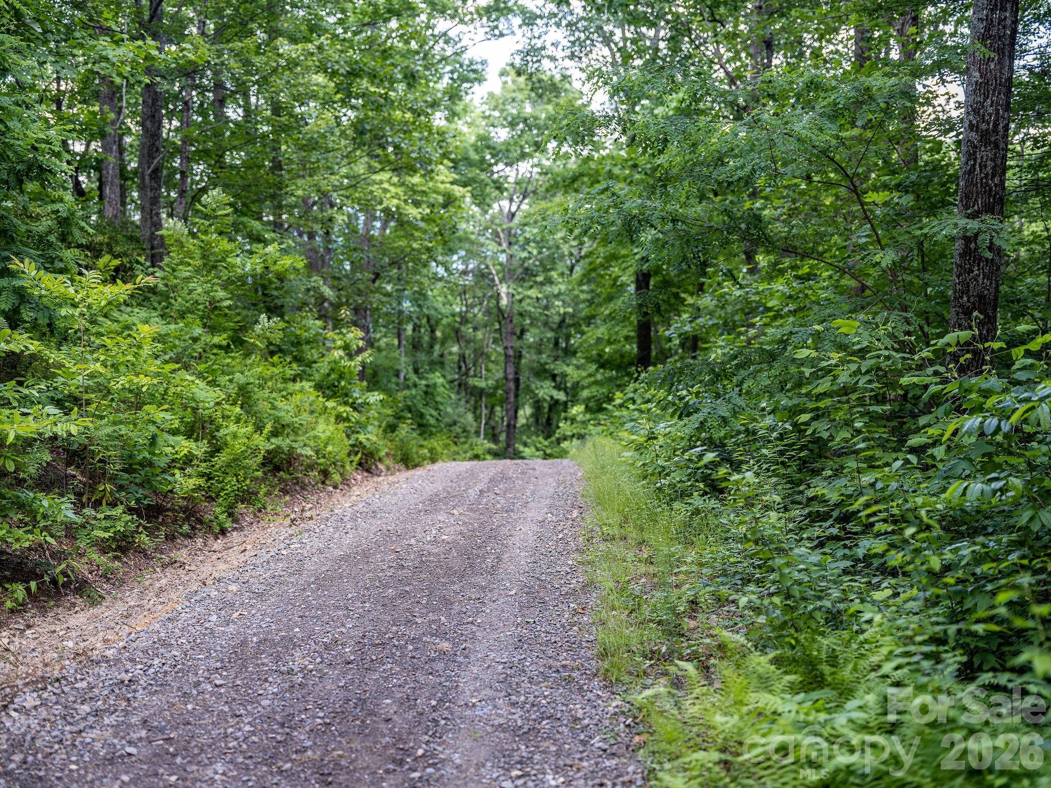 8 Carls Cove Road Hendersonville, NC 28792 - Photo 6 of 25