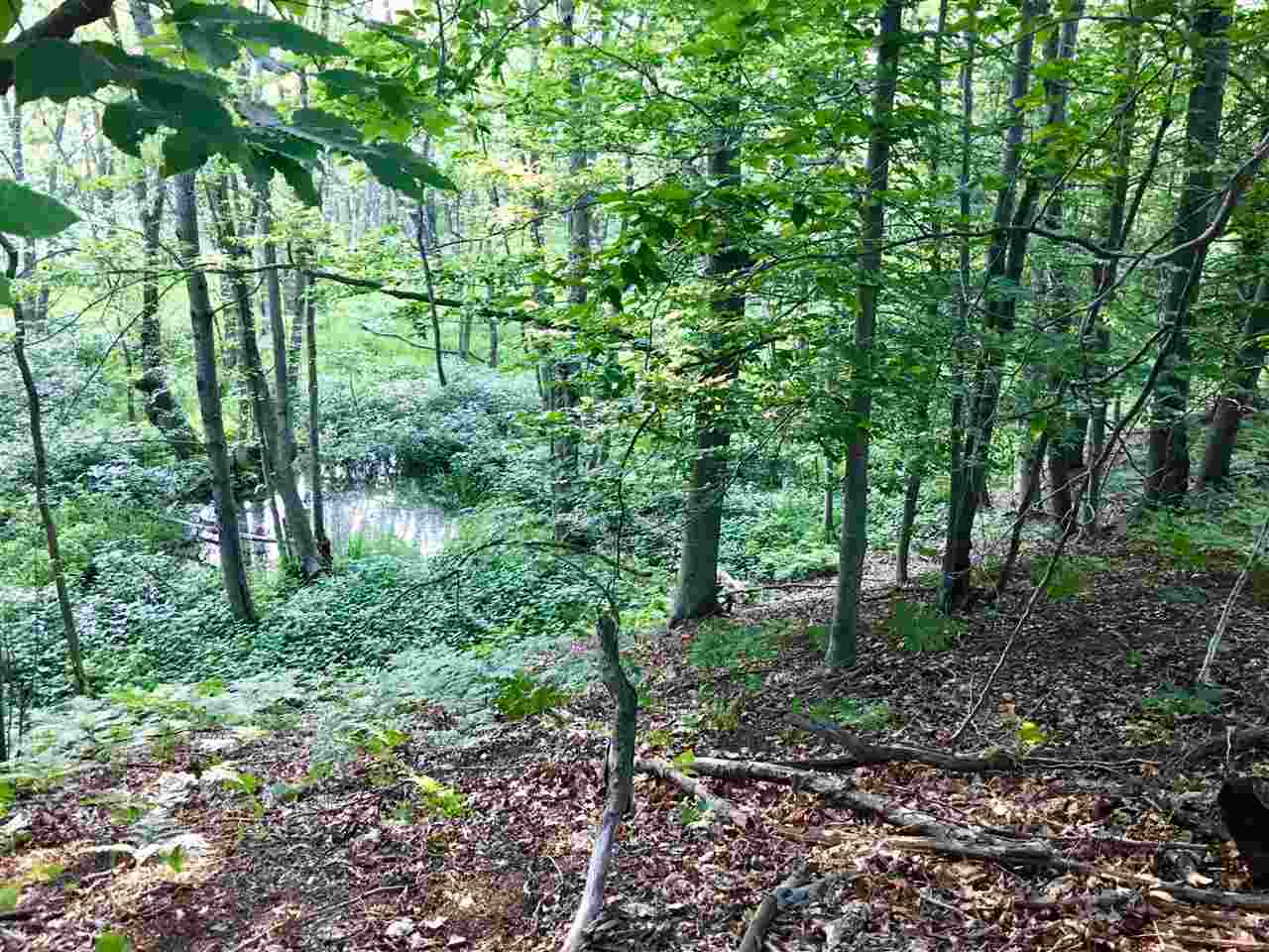 20 East Conrad Road Scottville, MI 49454 - Photo 3 of 18