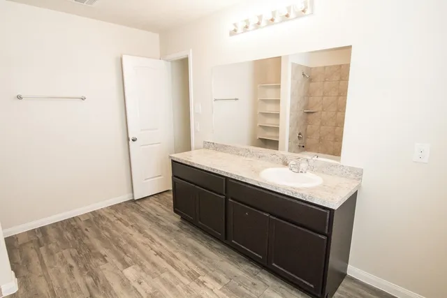 a bathroom with a sink and a mirror