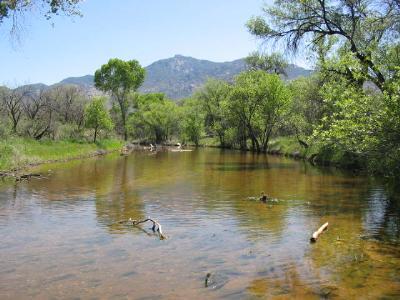 6481 South Upper Valley Road Vail, AZ 85641 - Photo 4 of 9