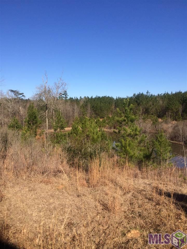 Tbd Lower Liberty Gloster Road Liberty, MS 39645 - Photo 2 of 5