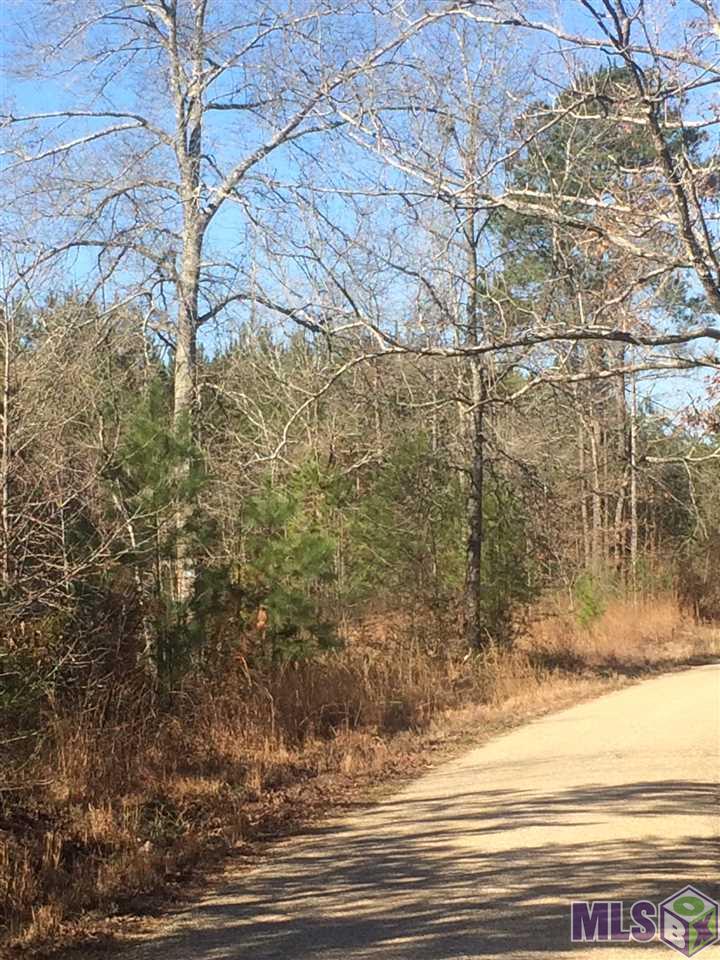 Tbd Lower Liberty Gloster Road Liberty, MS 39645 - Photo 3 of 5