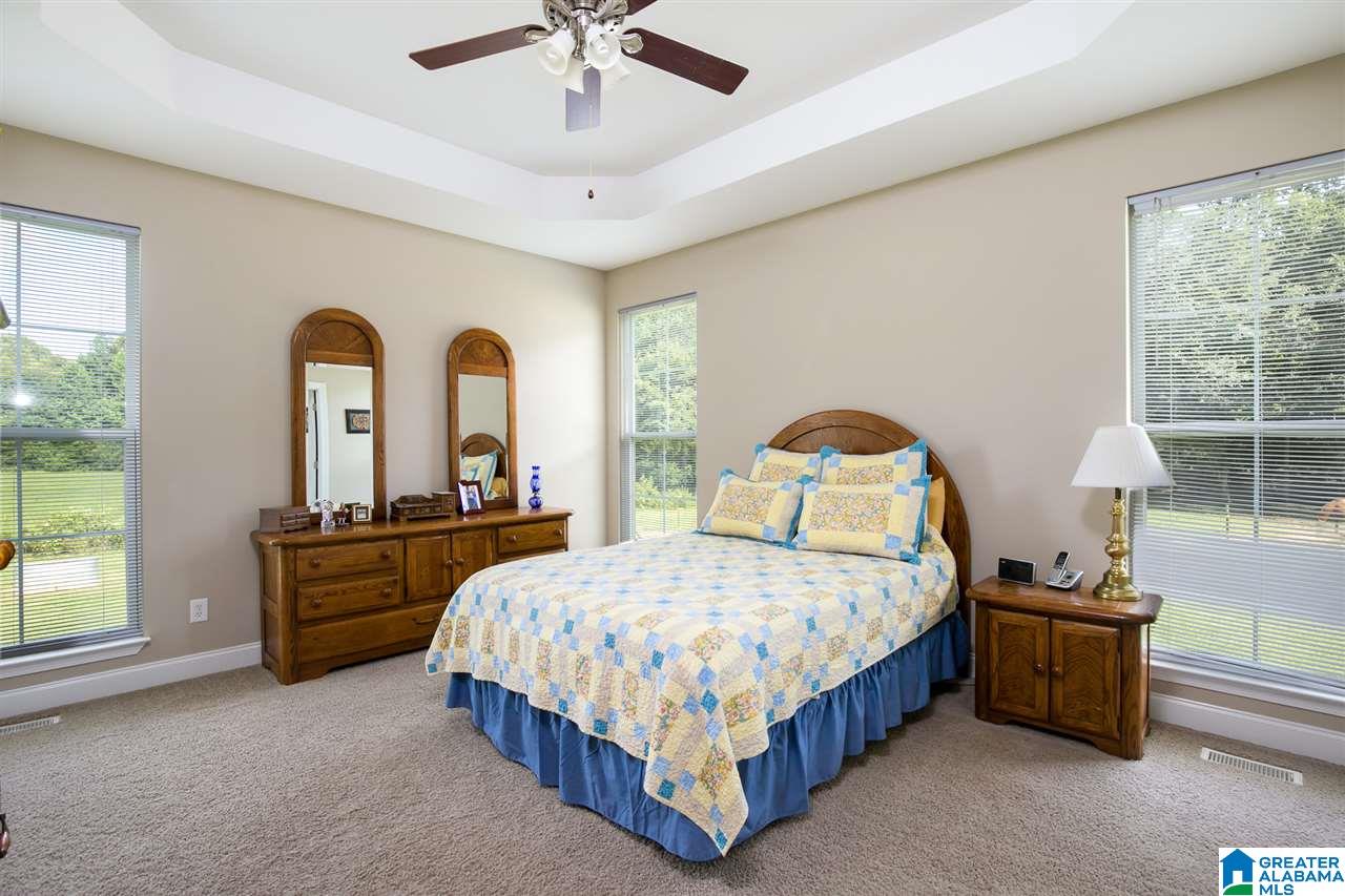 1665 Canoe Creek Road Springville, AL 35146 - Photo 11 of 24