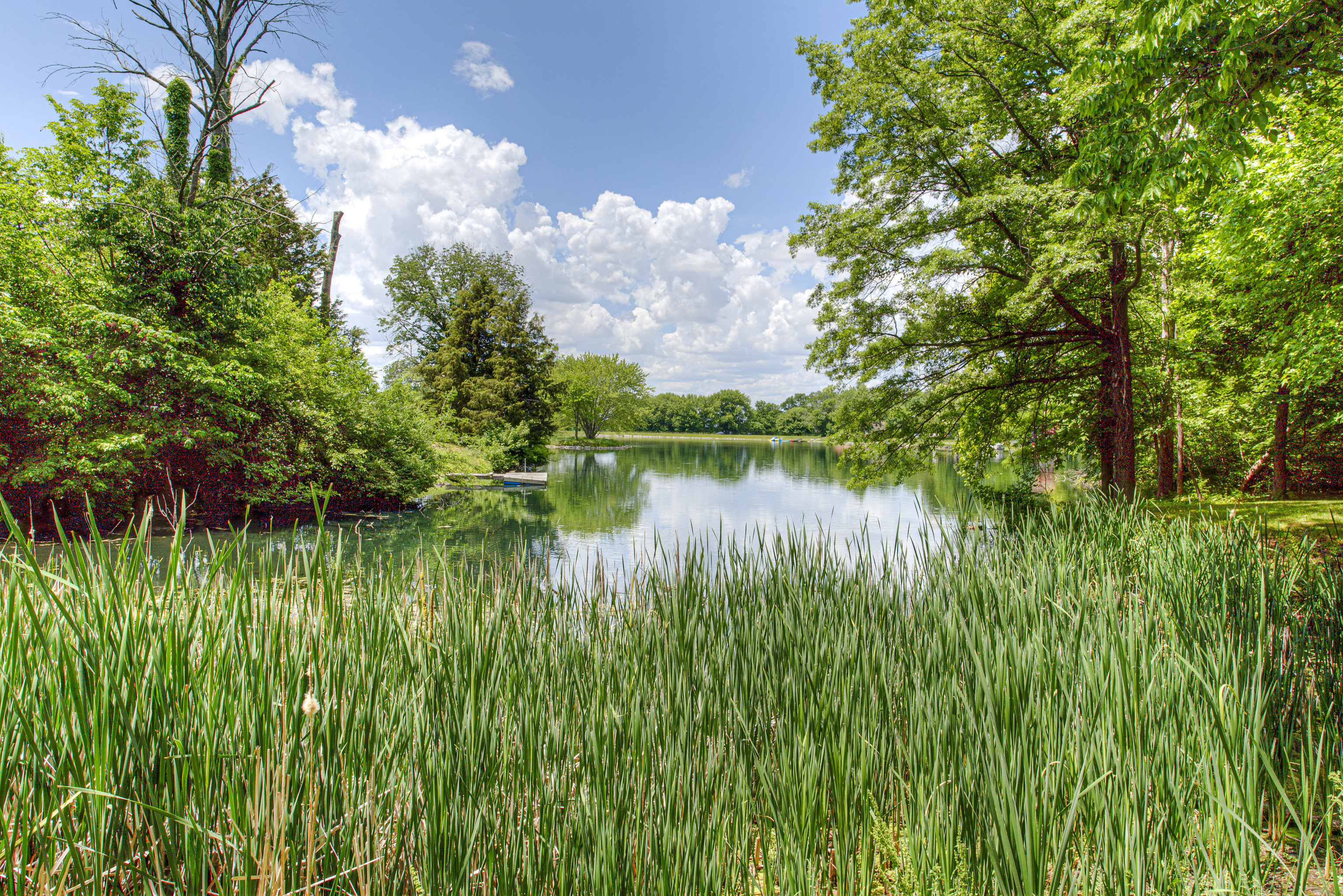 12286 Bray Road Mooresville, IN 46158 - Photo 43 of 63 Gallery Image 43