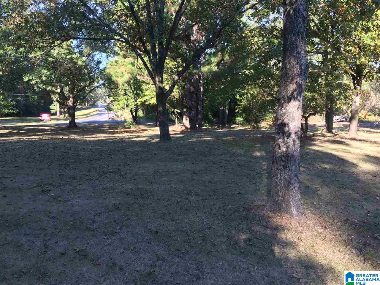 8621 Lock 17 Road Bessemer, AL 35023 - Photo 9 of 23