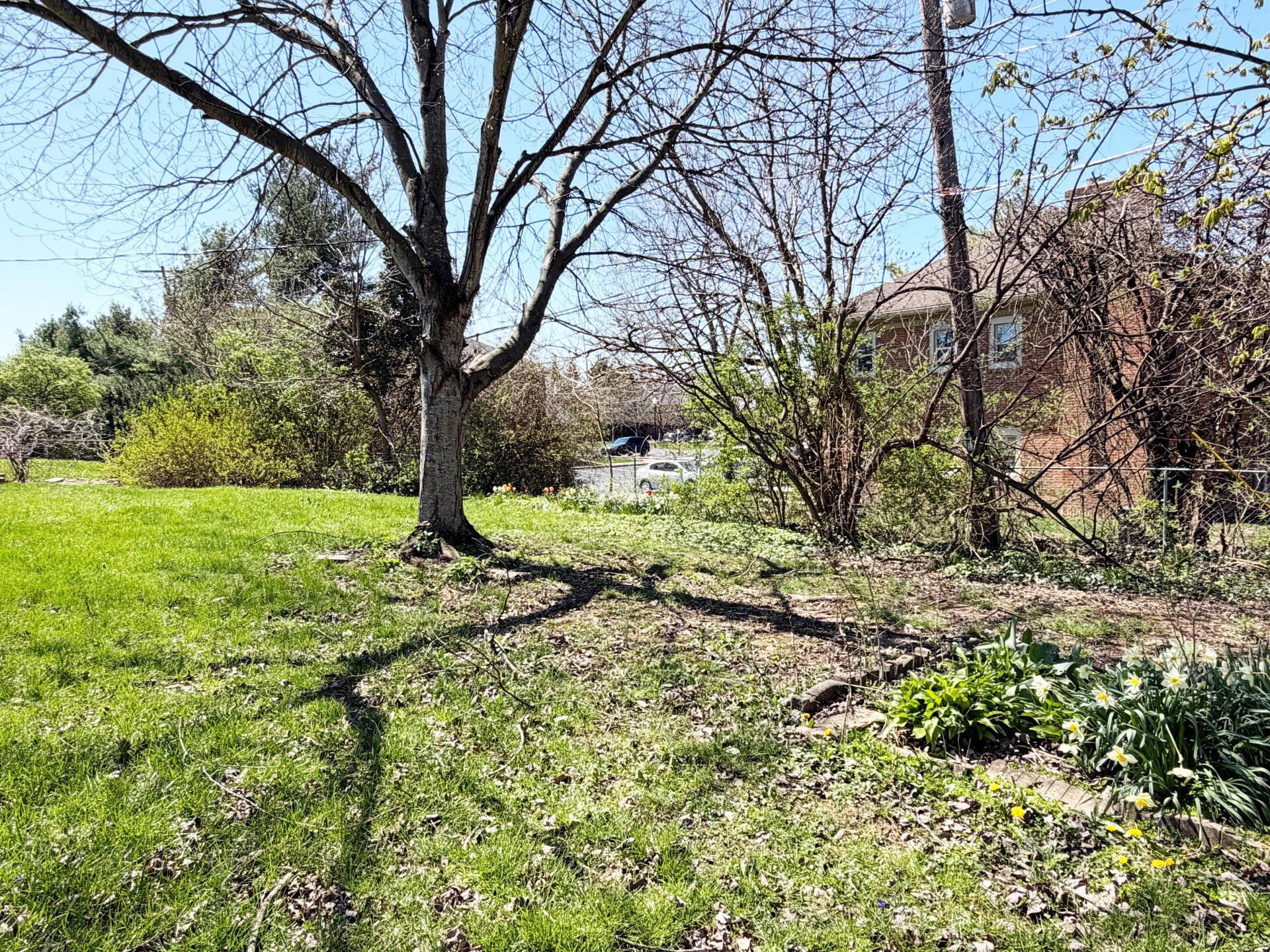 709 Birmingham Road Westerville, OH 43081 - Photo 14 of 14 14-Backyard
