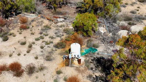 a view of a tree with a yard