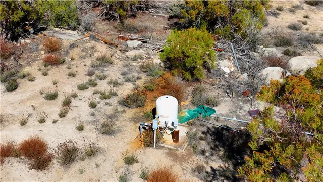 a view of a tree with a yard