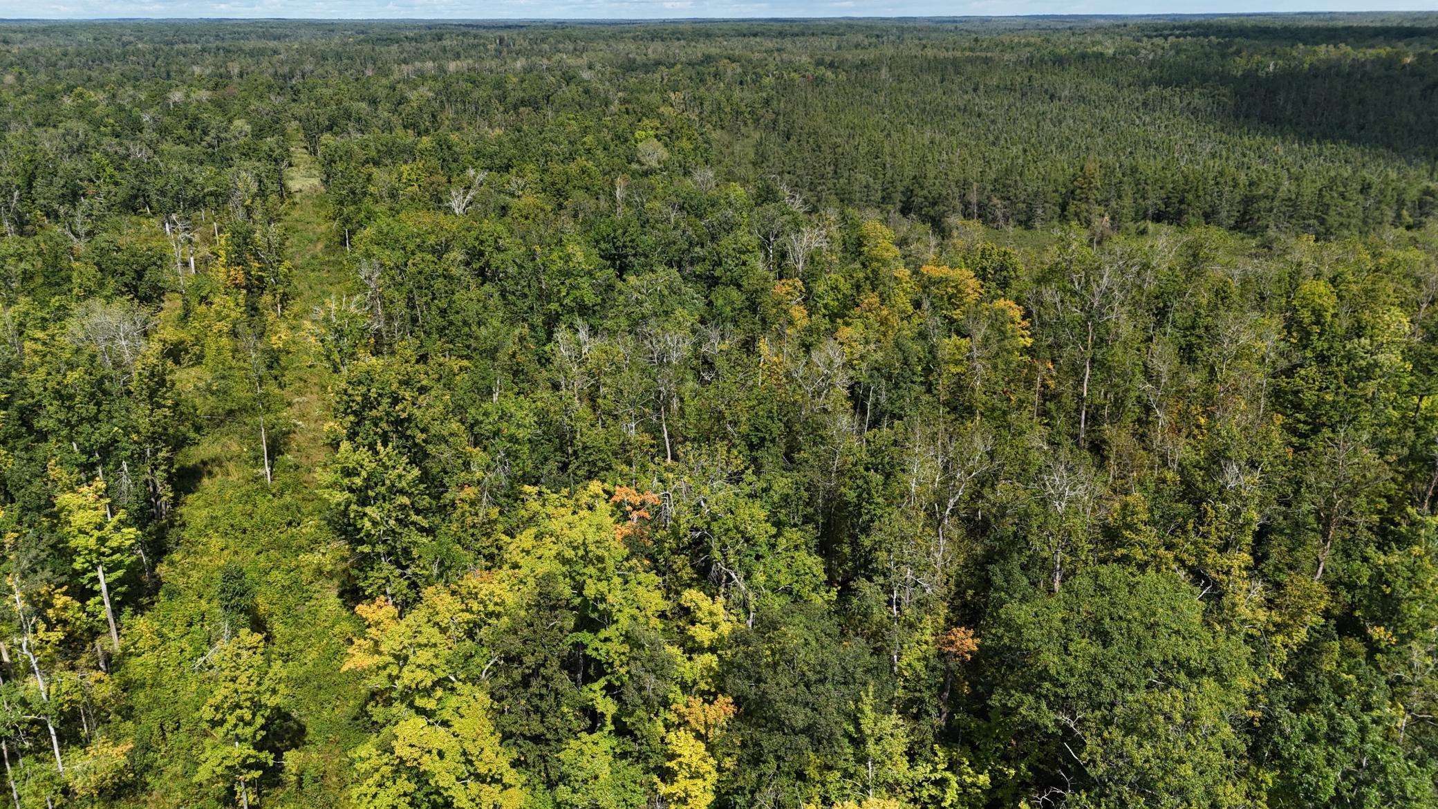 Xxx Duxbury Road Sandstone, MN 55072 - Photo 1 of 1 Gallery Image 1