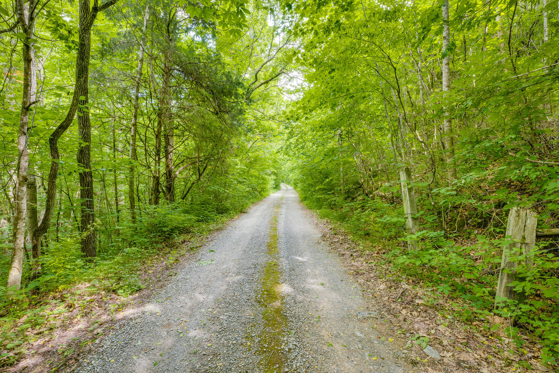 289 Fall Creek Road Blountville, TN 37617 - Photo 47 of 57 051