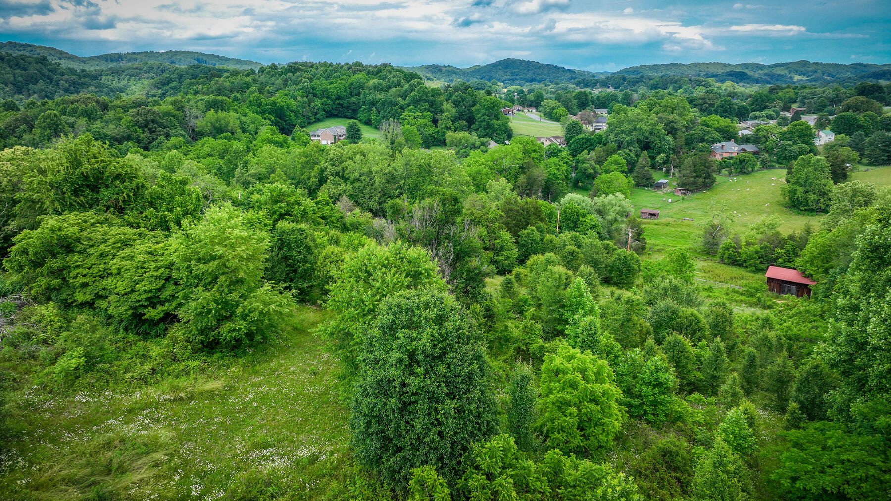 289 Fall Creek Road Blountville, TN 37617 - Photo 57 of 57 108