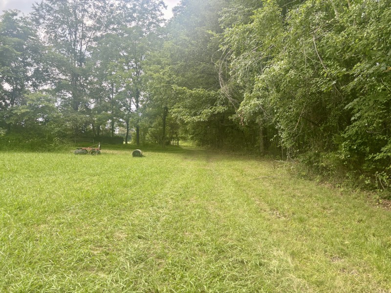 294 Haskell Winton Road Manchester, TN 37355 - Photo 4 of 14