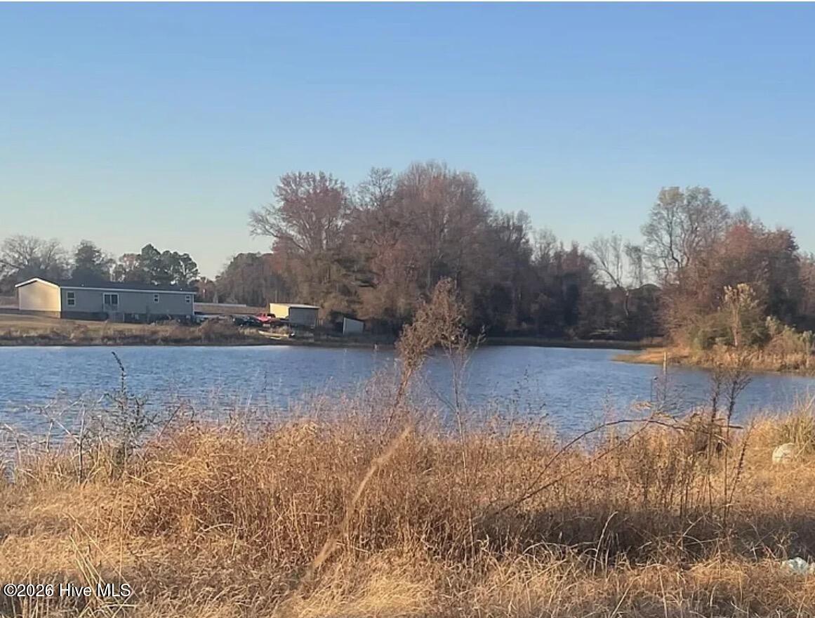 6 Crumpler Lake Lane Clinton, NC 28328 - Photo 5 of 7 IMG_1271