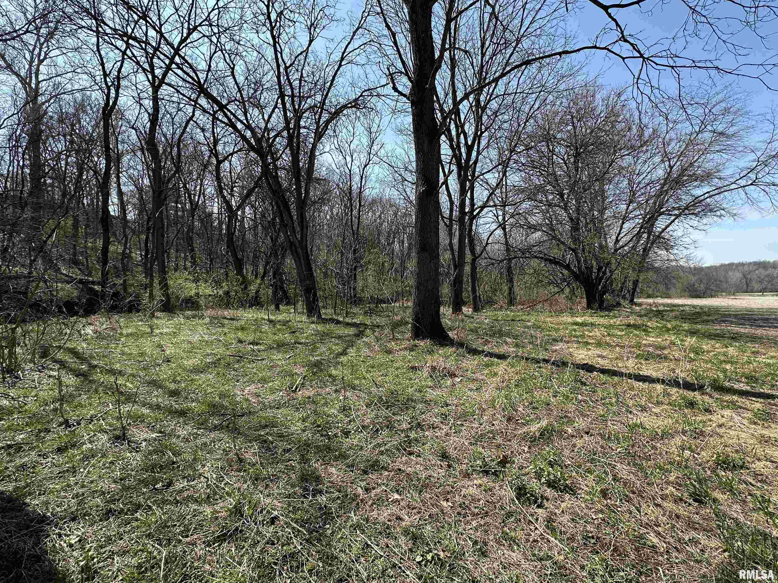 0 County Highway 22 St. David, IL 61563 - Photo 17 of 28