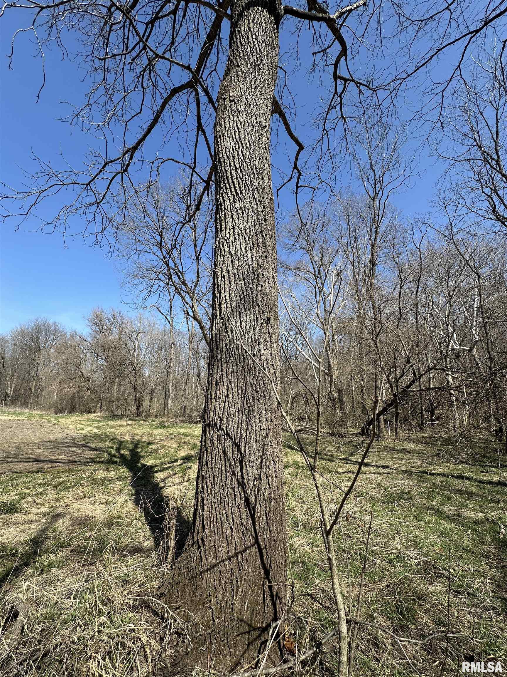 0 County Highway 22 St. David, IL 61563 - Photo 18 of 28