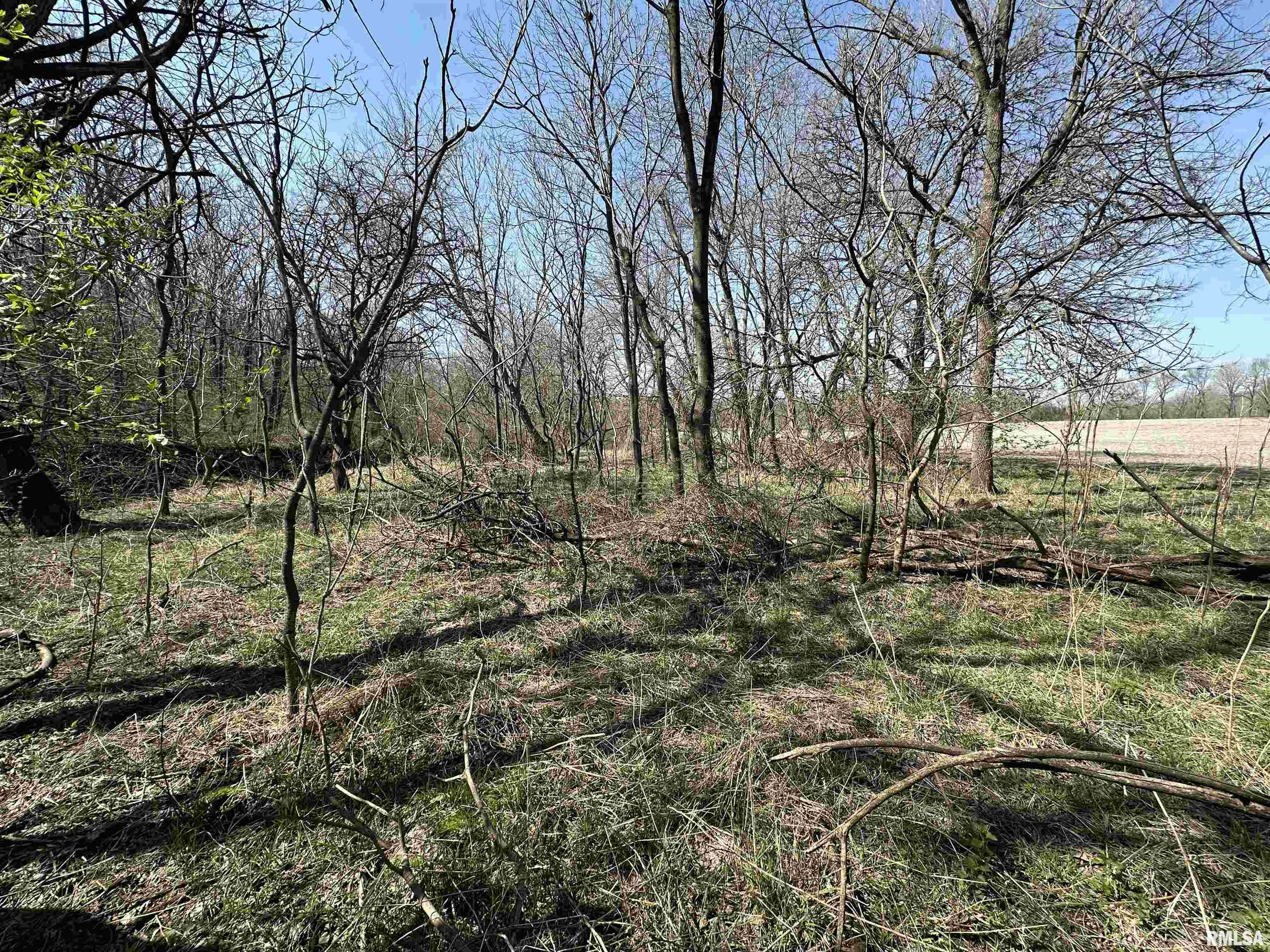 0 County Highway 22 St. David, IL 61563 - Photo 19 of 28