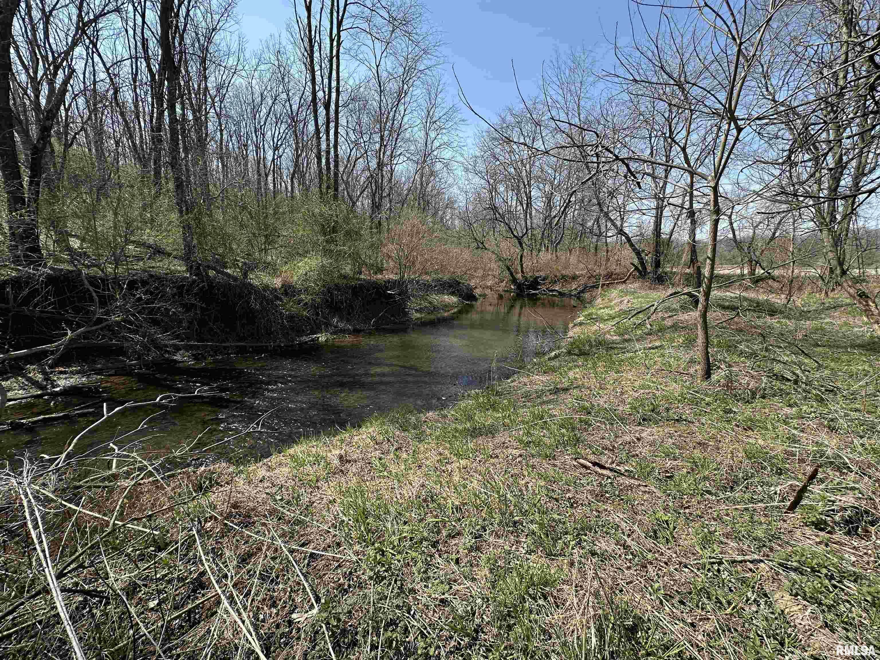 0 County Highway 22 St. David, IL 61563 - Photo 21 of 28