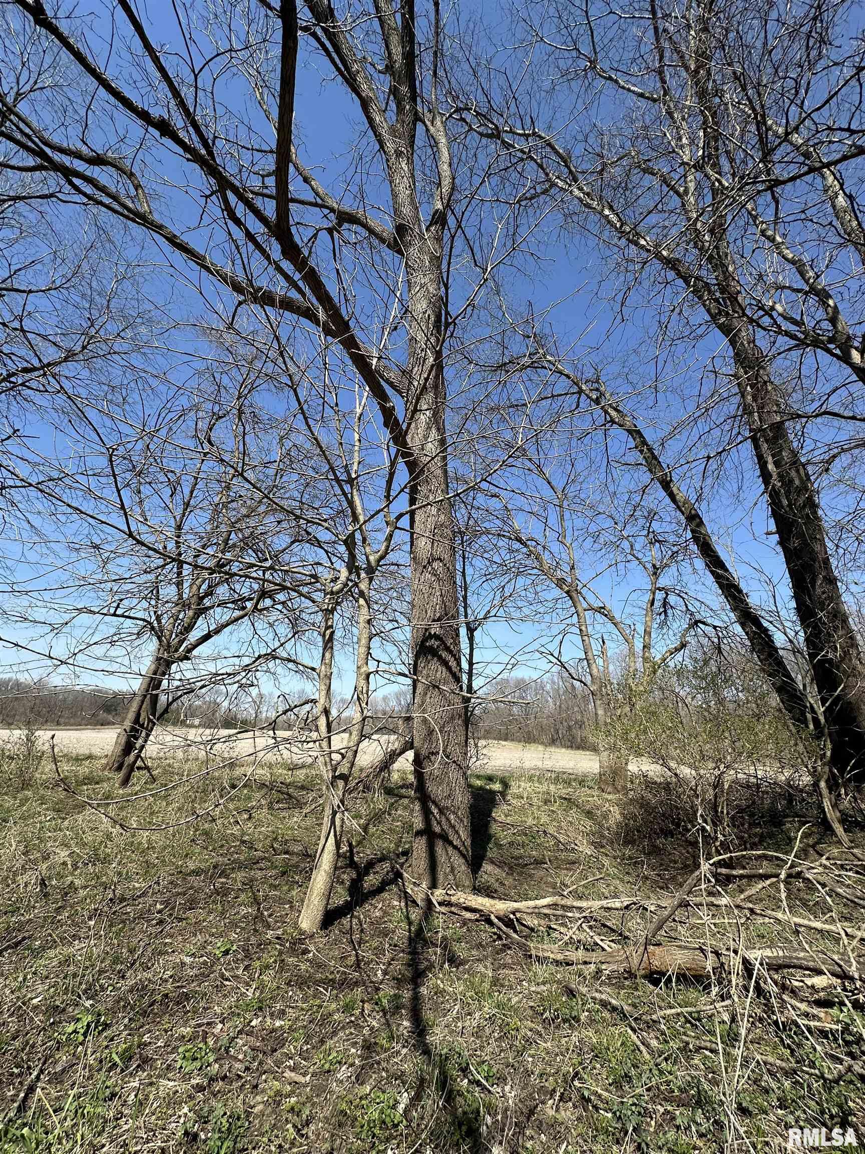 0 County Highway 22 St. David, IL 61563 - Photo 22 of 28