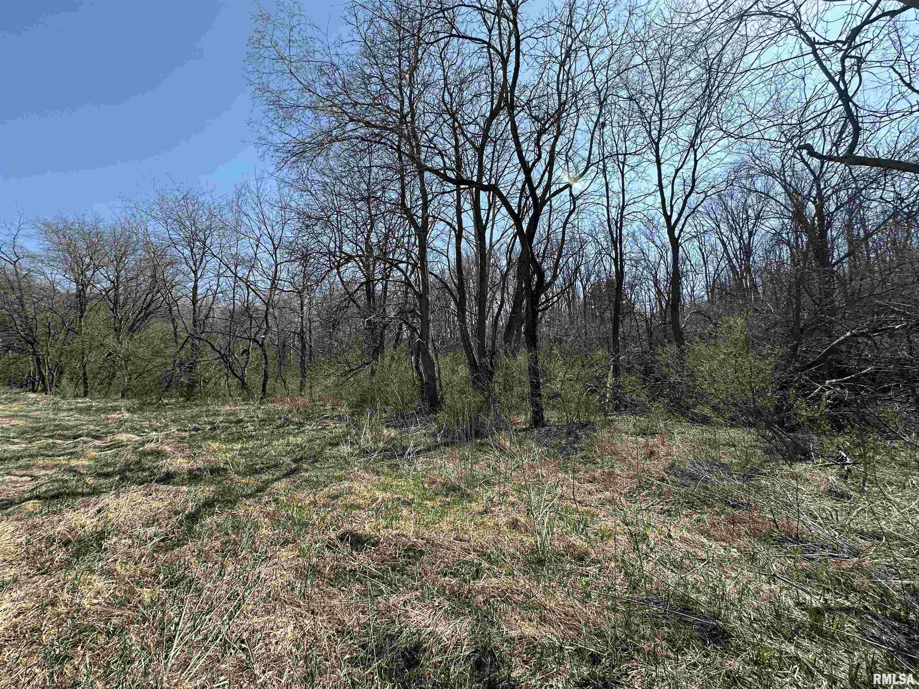 0 County Highway 22 St. David, IL 61563 - Photo 26 of 28