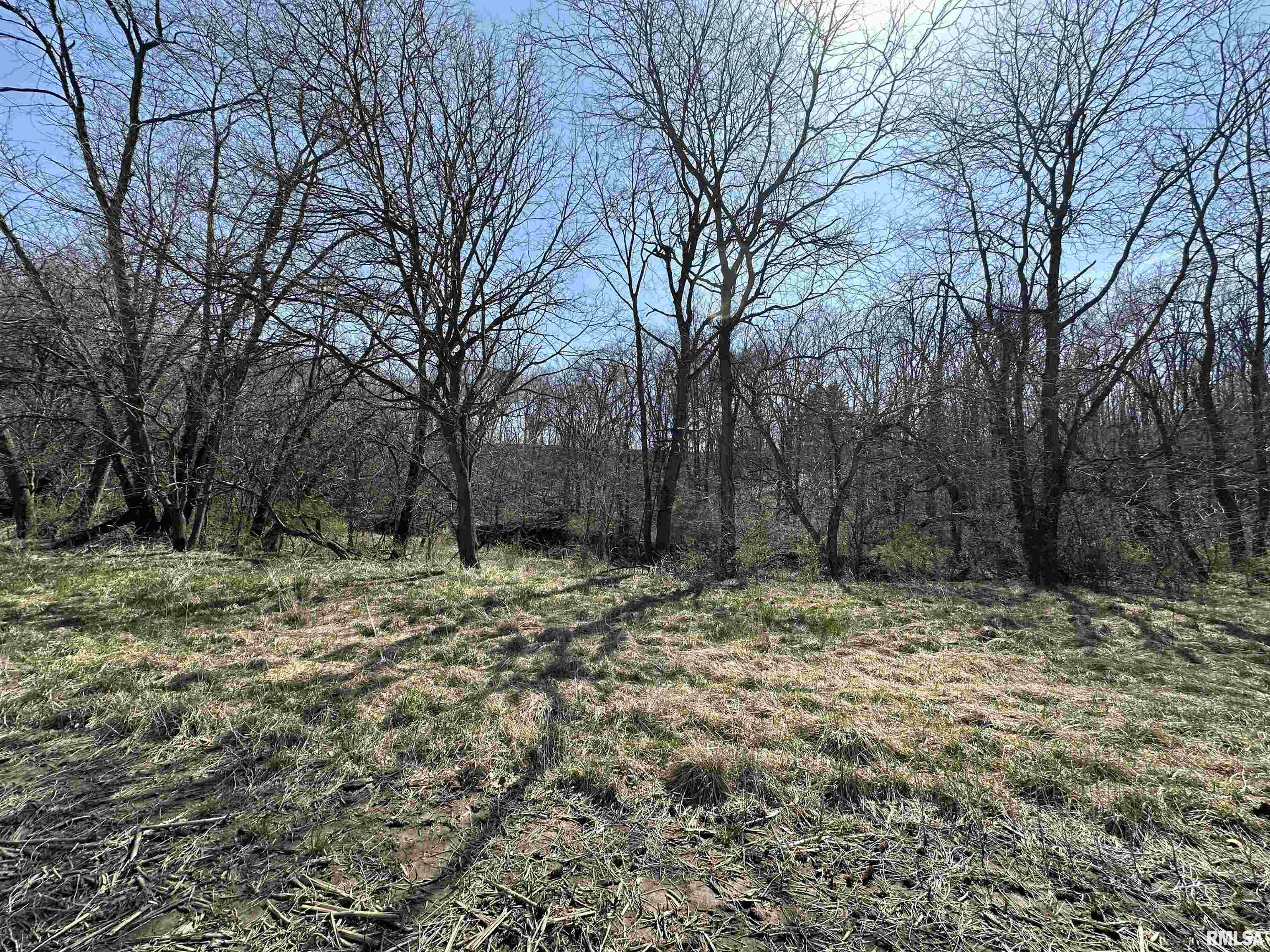 0 County Highway 22 St. David, IL 61563 - Photo 28 of 28