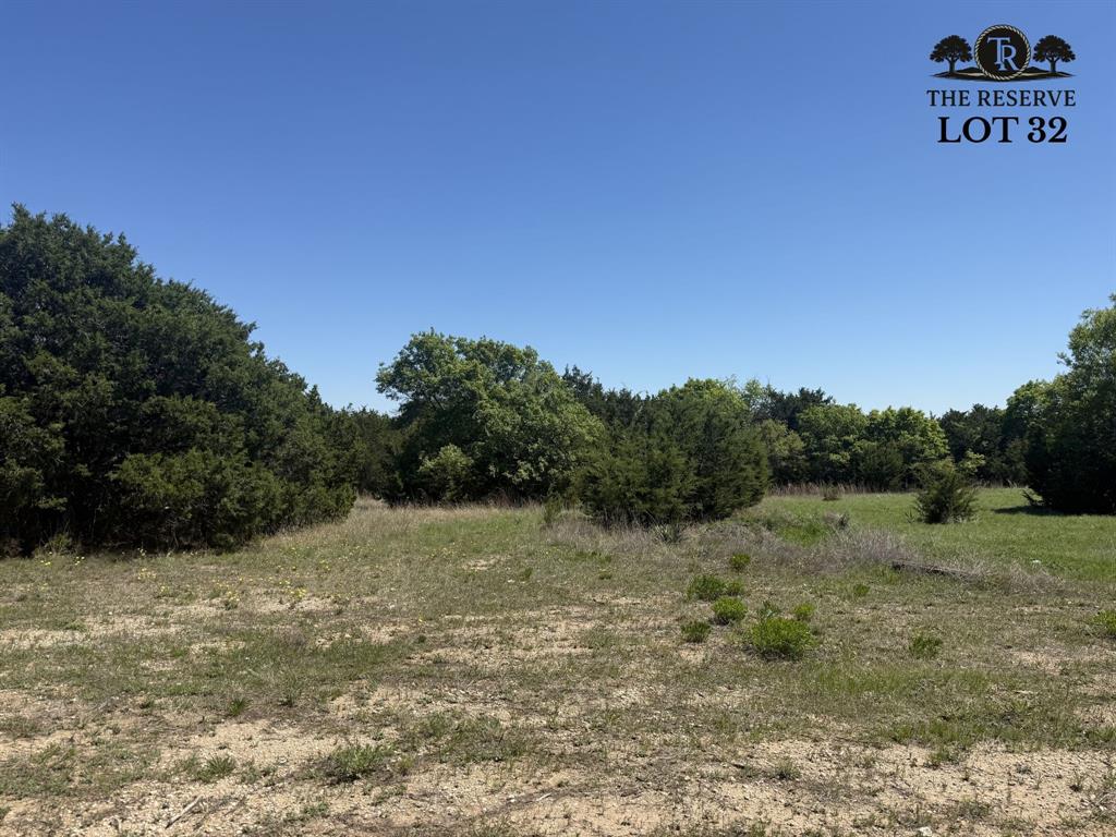 Lot 32 Colt Road Springtown, TX 76082 - Photo 4 of 18 a view of a field with trees in the background