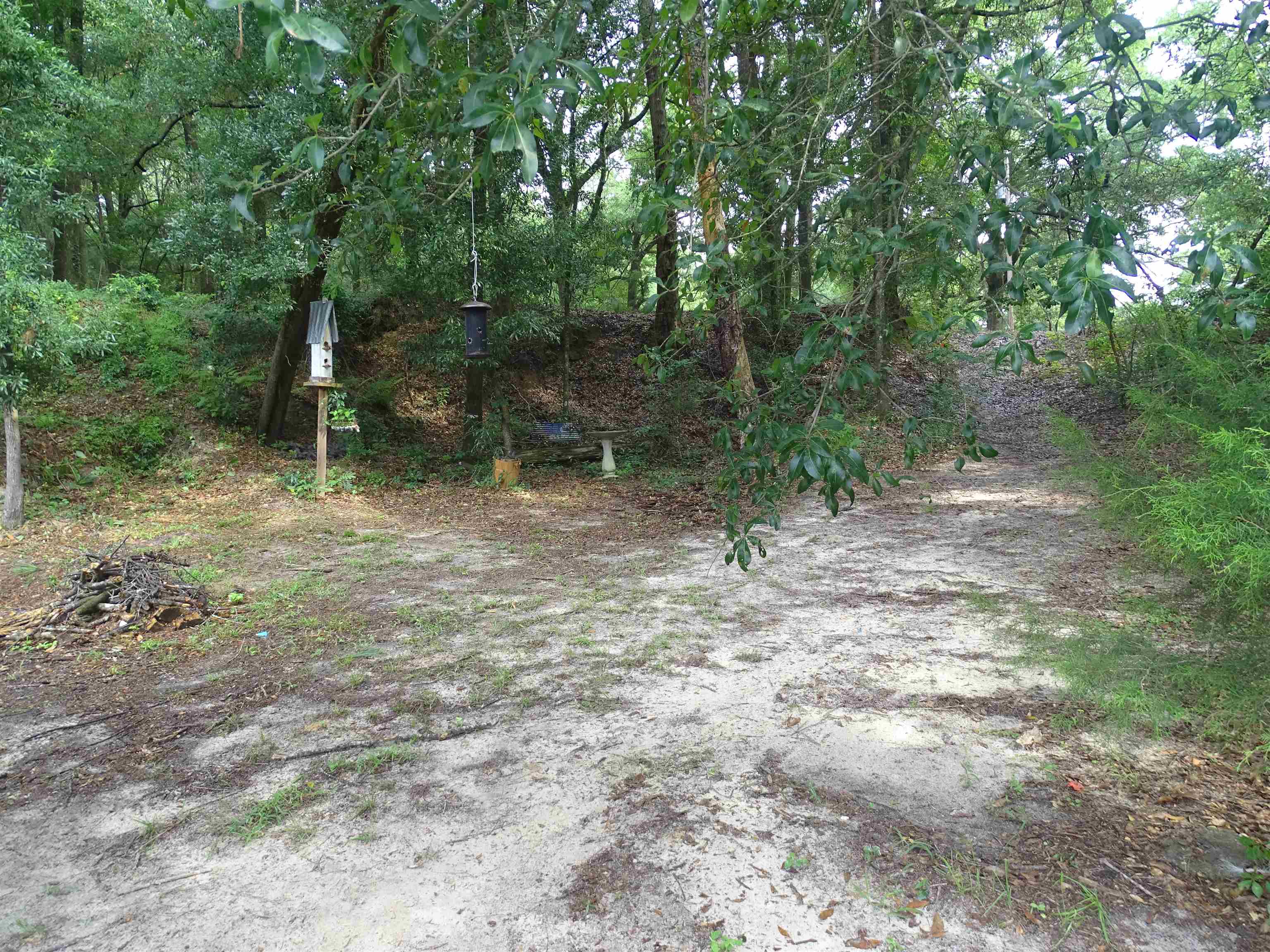 26545 Plywood Mill Road Andalusia, AL 36421 - Photo 20 of 25 Gallery Image 20