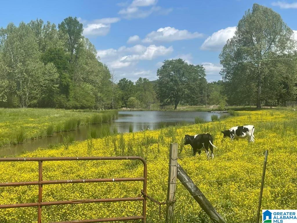 926 Gnatville Road Piedmont, AL 36272 - Photo 2 of 11
