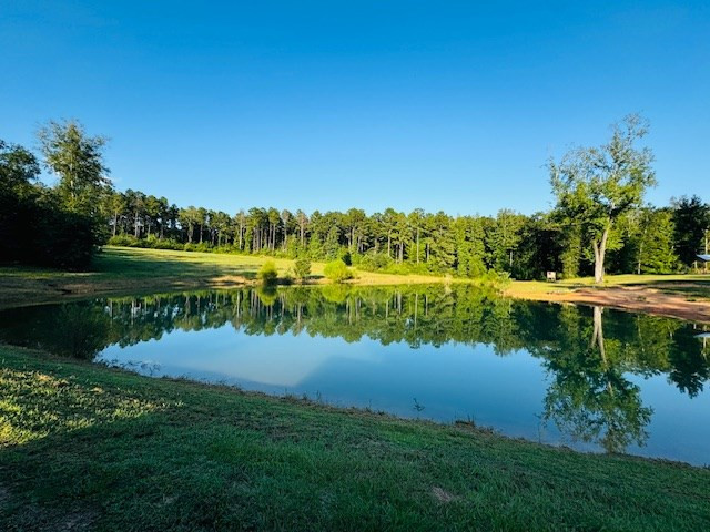 75 Leonard Holmes Road Tylertown, MS 39667 - Photo 11 of 49 Photo 11