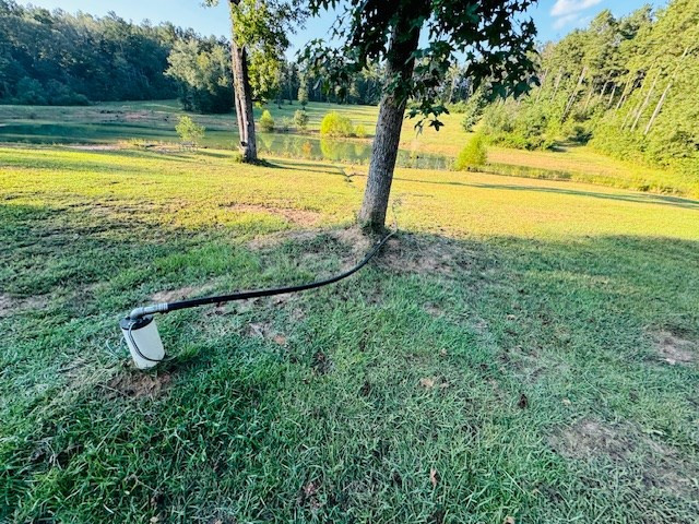 75 Leonard Holmes Road Tylertown, MS 39667 - Photo 12 of 49 Photo 12