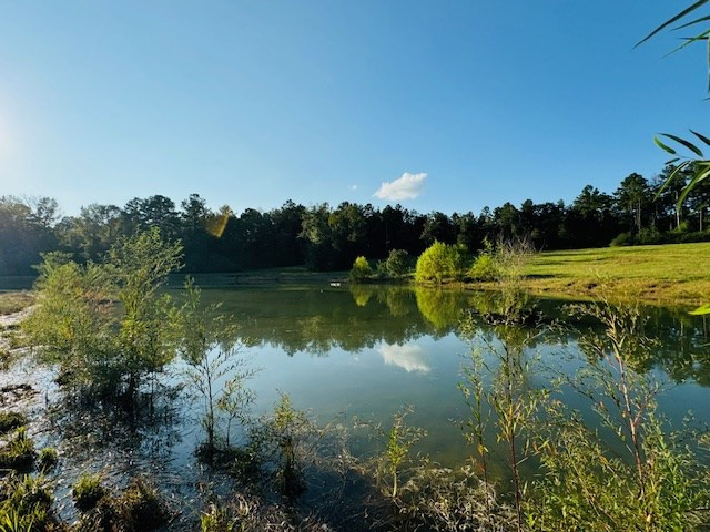 75 Leonard Holmes Road Tylertown, MS 39667 - Photo 16 of 49 Photo 16