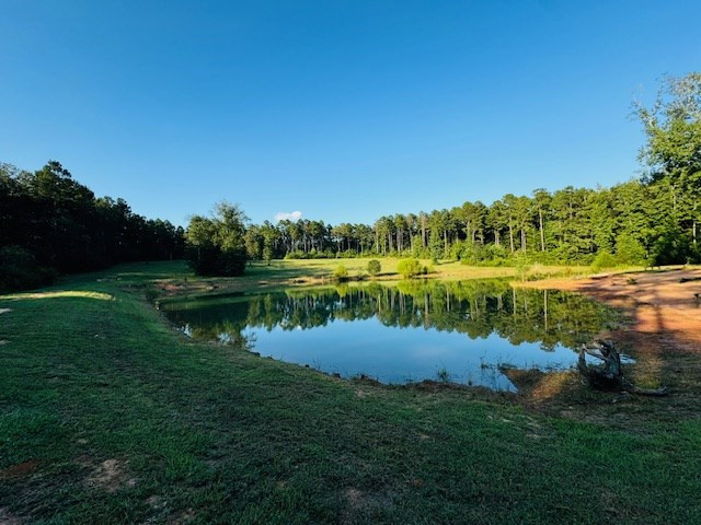 75 Leonard Holmes Road Tylertown, MS 39667 - Photo 6 of 49 Photo 6