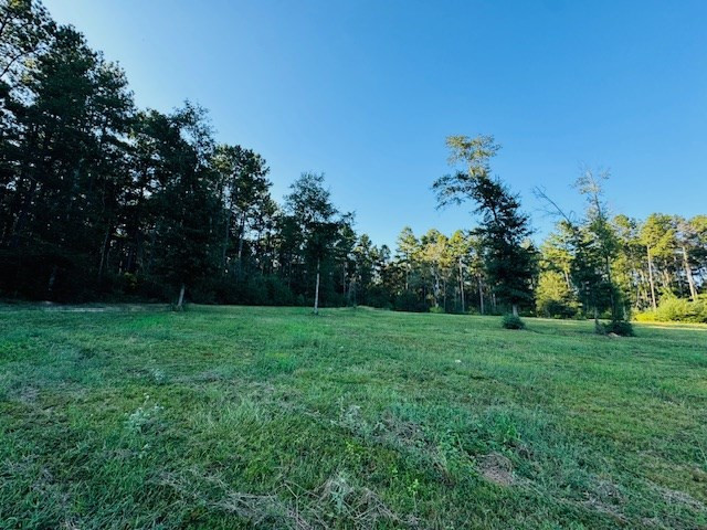 75 Leonard Holmes Road Tylertown, MS 39667 - Photo 7 of 49 Photo 7