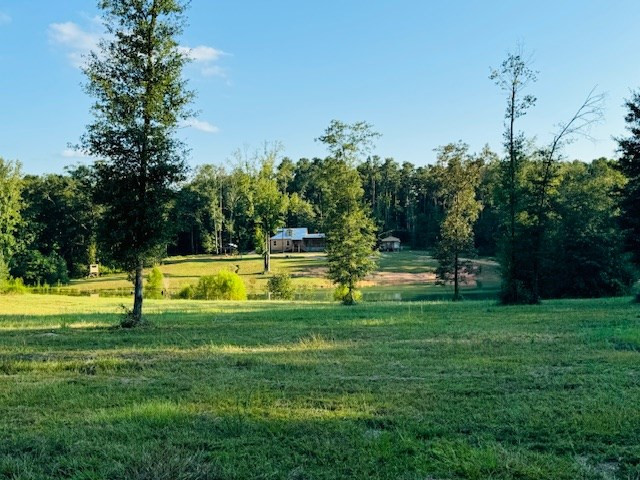 75 Leonard Holmes Road Tylertown, MS 39667 - Photo 8 of 49 Photo 8