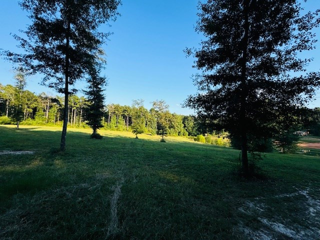 75 Leonard Holmes Road Tylertown, MS 39667 - Photo 10 of 49 Photo 10