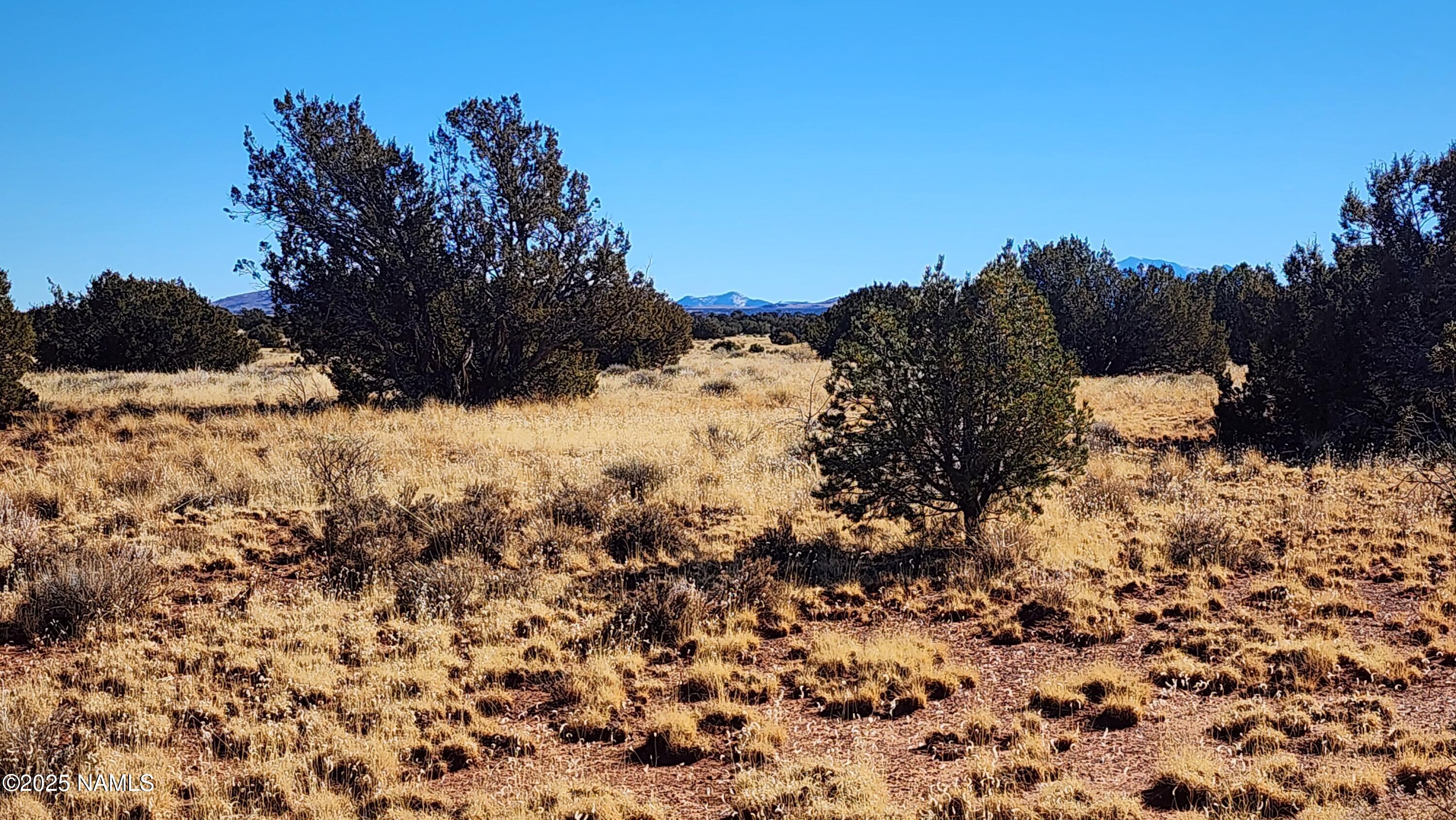 3372 East Valencia Road Williams, AZ 86046 - Photo 18 of 34 1000023817