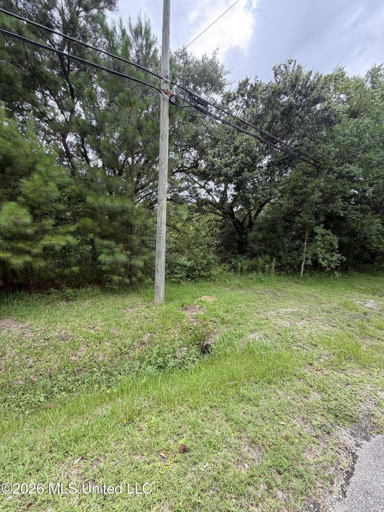 1465 Blue Meadow Road Bay St. Louis, MS 39520 - Photo 1 of 5 IMG_2214