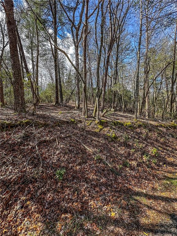 0 T S Jarrard Road Dahlonega, GA 30533 - Photo 11 of 43 a big yard with lots of green space