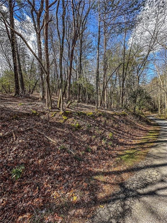 0 T S Jarrard Road Dahlonega, GA 30533 - Photo 12 of 43 a big yard with lots of green space