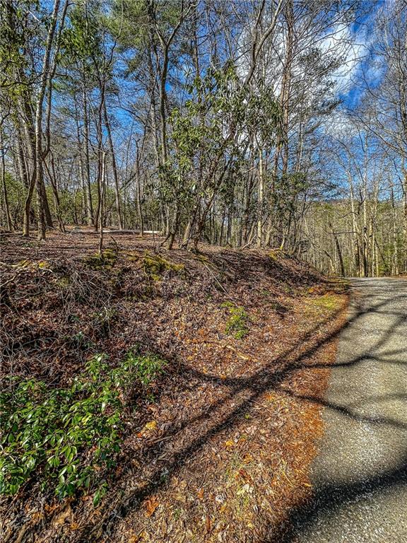 0 T S Jarrard Road Dahlonega, GA 30533 - Photo 13 of 43 a view of backyard with green space