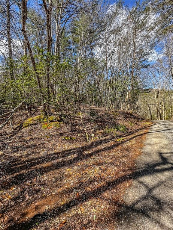 0 T S Jarrard Road Dahlonega, GA 30533 - Photo 14 of 43 a backyard of a house