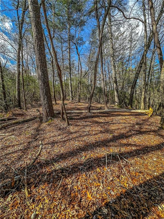 0 T S Jarrard Road Dahlonega, GA 30533 - Photo 15 of 43 a backyard of a house with lots of green space