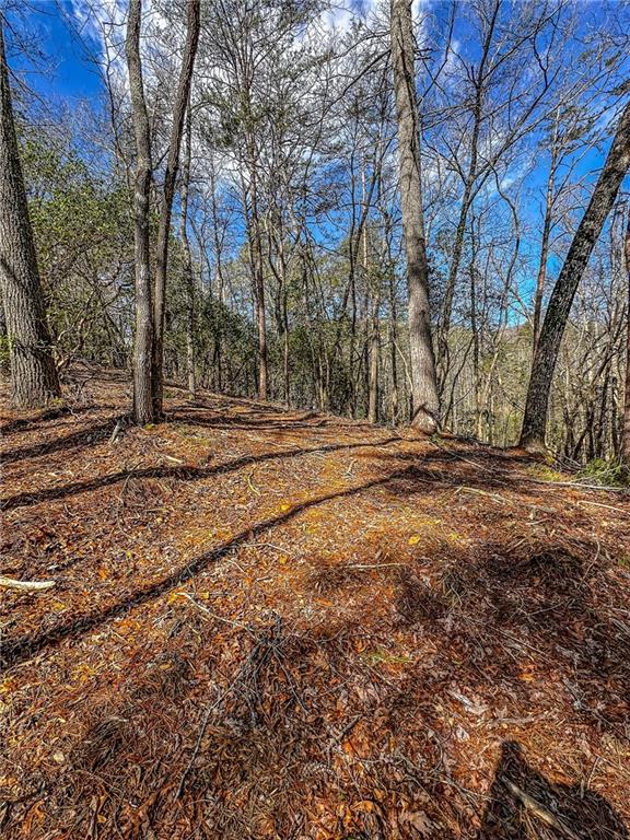0 T S Jarrard Road Dahlonega, GA 30533 - Photo 16 of 43 a view of dirt yard with large trees