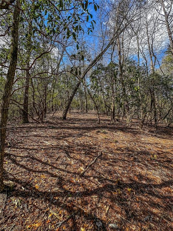 0 T S Jarrard Road Dahlonega, GA 30533 - Photo 17 of 43 a view of outdoor space with deck and trees