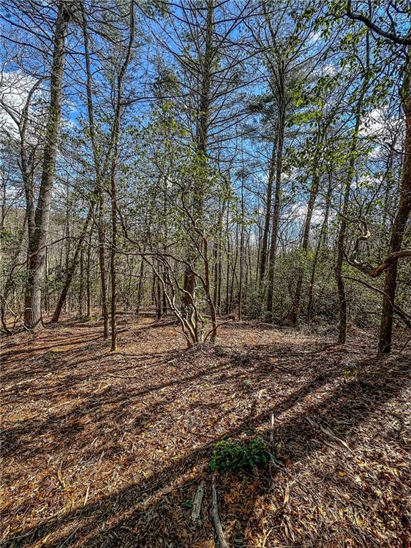 0 T S Jarrard Road Dahlonega, GA 30533 - Photo 18 of 43 a view of a yard with trees