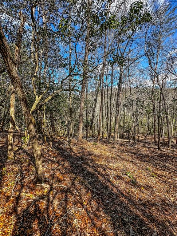 0 T S Jarrard Road Dahlonega, GA 30533 - Photo 19 of 43 a view of dirt yard with a large tree