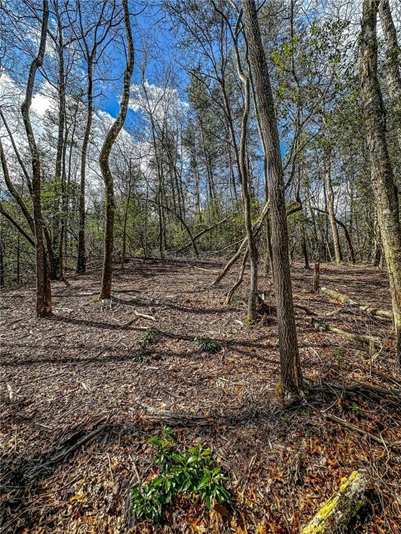 0 T S Jarrard Road Dahlonega, GA 30533 - Photo 20 of 43 a view of outdoor space with trees