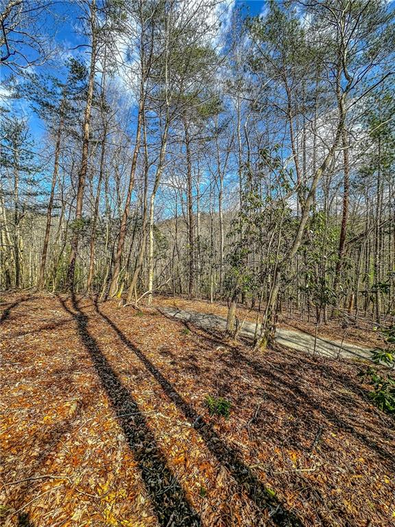 0 T S Jarrard Road Dahlonega, GA 30533 - Photo 2 of 43 a backyard of a house with a yard and large trees
