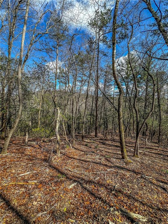 0 T S Jarrard Road Dahlonega, GA 30533 - Photo 21 of 43 a backyard of a house with lots of green space