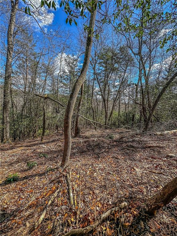 0 T S Jarrard Road Dahlonega, GA 30533 - Photo 22 of 43 a view of outdoor space with trees