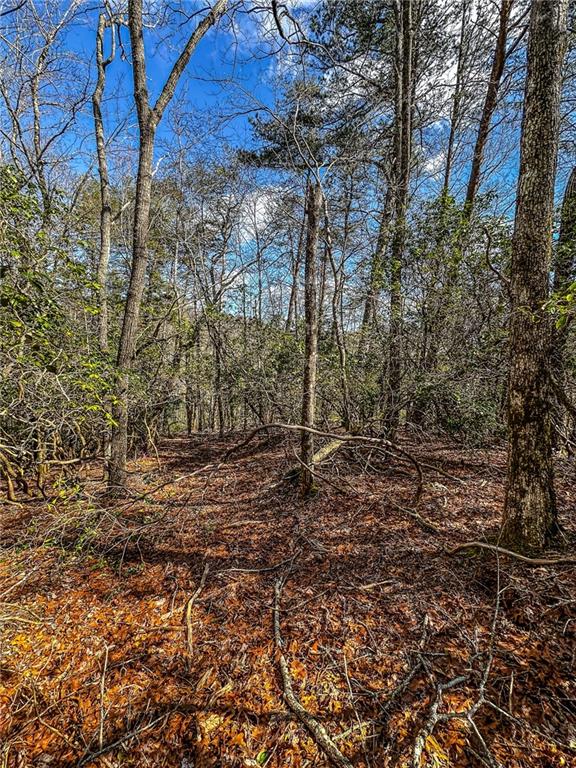0 T S Jarrard Road Dahlonega, GA 30533 - Photo 24 of 43 a view of a yard with plants and trees